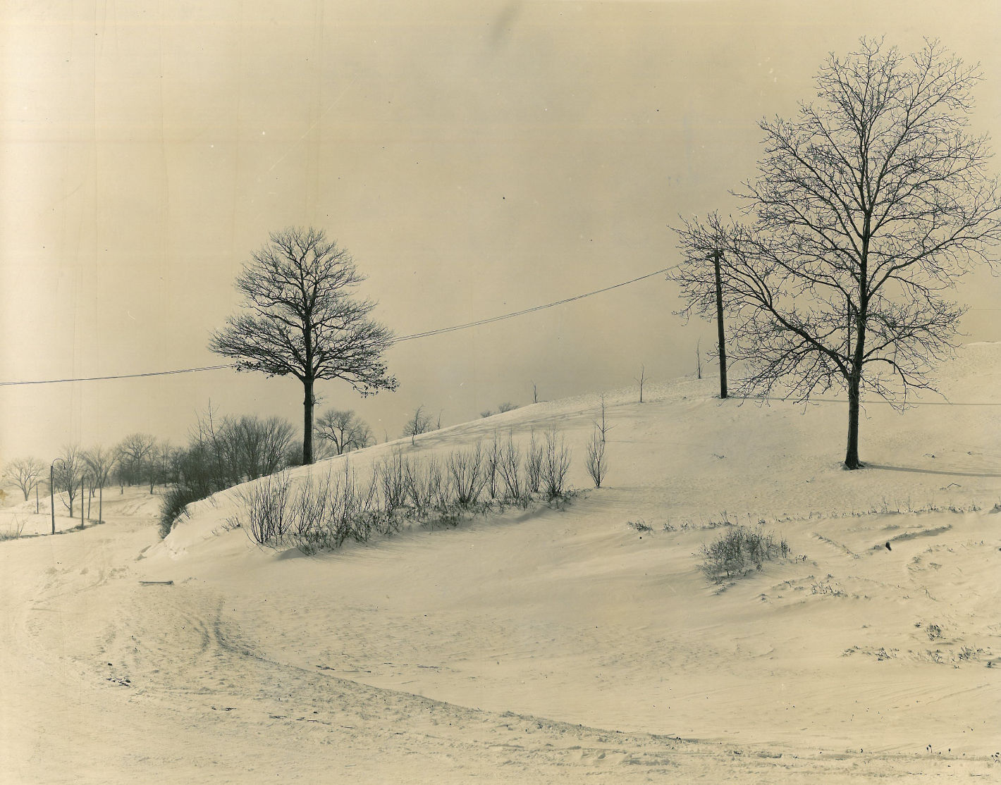 1929